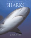 Wildlife Monographs:Sharks - Jonathan Bird