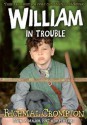 William the Outlaw - Richmal Crompton