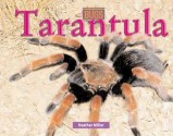 Bugs - Tarantula (Bugs) - Heather Miller