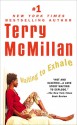 Waiting to Exhale - Terry McMillan