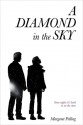 A Diamond in the Sky - Margaret Pelling