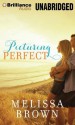 Picturing Perfect - Melissa Brown