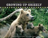 Growing Up Grizzly: The True Story of Baylee and Her Cubs (Falcon Guide) - Amy Shapira, Douglas H. Chadwick