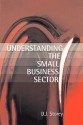 Understanding The Small Business Sector - D.J. Storey