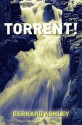 Torrent! (Gr8reads) - Bernard Ashley