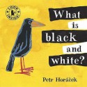 What Is Black & White (Look Inside) - Petr Horáček, P Horáček