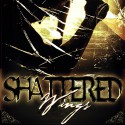 Shattered Wings - Bryan Healey, Bryan Healey, David Stifel