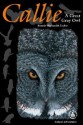 Callie: A Great Gray Owl - Bonnie Highsmith Taylor