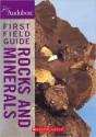 Rocks and Minerals (National Audubon Society First Field Guide) - Edward R. Ricciuti, Margaret W. Carruthers