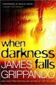 When Darkness Falls - James Grippando