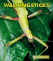 Walkingsticks (New Naturebooks) - Patrick Merrick