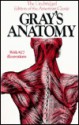 Gray's Anatomy - Henry Gray