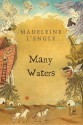 Many Waters (Time, #4) - Madeleine L'Engle