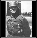 Erwin Rommel - Mike Stone