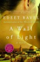 A Wall of Light - Edeet Ravel