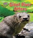 Giant River Otters - Rachel Lynette