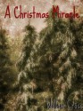 A Christmas Miracle - Willow Cross