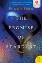 The Promise of Stardust - Priscille Sibley