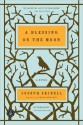 A Blessing on the Moon - Joseph Skibell