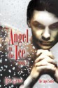 Angel in the Ice, Book 3 (The Angel Series) - Lisa Grace