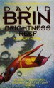 Brightness Reef - David Brin