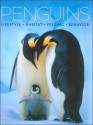 Pinguine Lebensraum, Nahrung, Verhalten - Daniel Gilpin