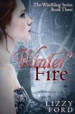 Winter Fire - Lizzy Ford