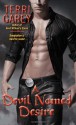 A Devil Named Desire - Terri Garey