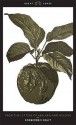 Forbidden Fruit: From the Letters of Abelard and Heloise - Betty Radice, M.T. Clanchy, Pierre Abélard, Héloïse d'Argenteuil