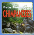 Chimpanzees - Kate Petty