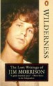 Wilderness: The Lost Writings of Jim Morrison, Volume 1 - Jim Morrison