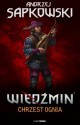 Chrzest ognia (Wiedźmin, #5) - Andrzej Sapkowski