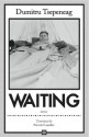 Waiting: stories - Dumitru Tsepeneag, Patrick Camiller