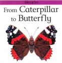 From Caterpillar to Butterfly (Lifecycles) - Gerald Legg