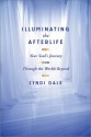 Illuminating the Afterlife: Your Soul's Journey Through the Worlds Beyond - Cyndi Dale