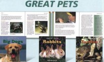 Great Pets - Joyce Hart, Ruth Bjorklund, Johannah Haney, Marjorie L. Buckmaster