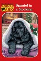 Spaniel in a Stocking (Animal Ark Holiday Treasury #12-Christmas) (Animal Ark Series #49) - Ben M. Baglio