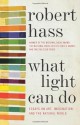 What Light Can Do: Essays on Art, Imagination, and the Natural World - Robert Hass