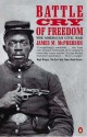 Battle Cry of Freedom: The American Civil War - James M. McPherson