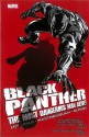 Black Panther - The Most Dangerous Man Alive: The Kingpin of Wakanda - David Liss, Jefte Paolo