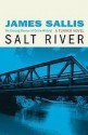 Salt River - James Sallis