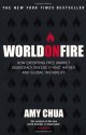 World On Fire - Amy Chua