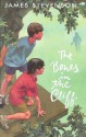 The Bones in the Cliff - James Stevenson