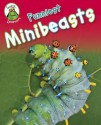 Funniest Minibeasts - Annabelle Lynch