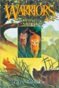 Rising Storm (Warriors, #4) - Erin Hunter