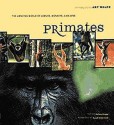 Primates: The Amazing World of Lemurs, Monkeys, and Apes - Art Wolfe, Russell Mittermeier