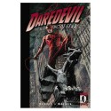 Daredevil, Vol. 6: Lowlife - Alex Maleev, Brian Michael Bendis