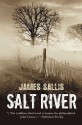 Salt River - James Sallis