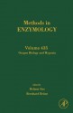 Methods in Enzymology, Volume 435: Oxygen Biology and Hypoxia - Helmut Sies, Bernard Bruene