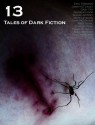 13: Tales of Dark Fiction - Adam Bradley, Eric S. Brown, Alan Spencer, Fred Venturini, William R.D. Wood, Joseph D'Lacey, Andrew Hook, Shaun Jeffrey, Matt Leyshon, Gary McMahon, Andy Remic, Stanley Riiks, Tommy B. Smith